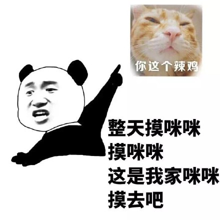 整天摸咪咪，这是我家咪咪摸去吧 斗图表情包合集