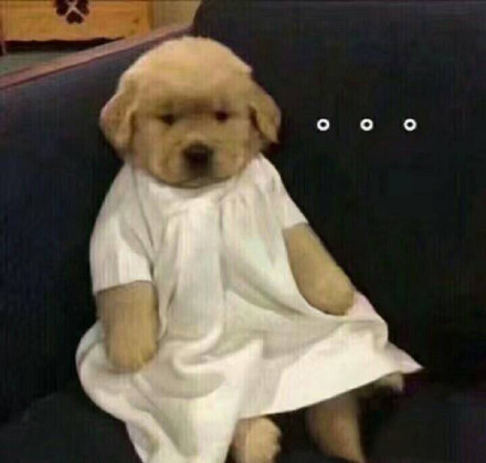 10月31日热门表情包合集来了