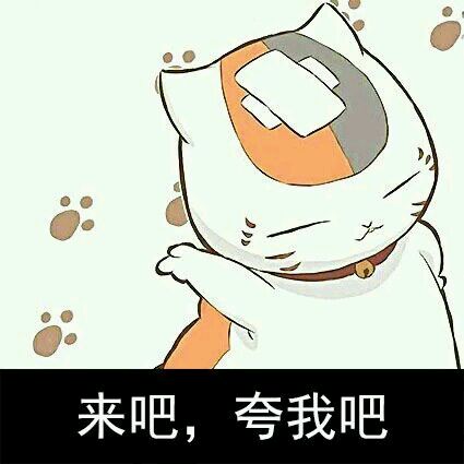 猫咪老师搞笑动图表情包合集