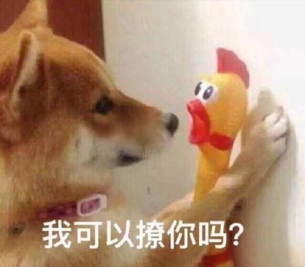 8月4日斗图表情包合集来啦