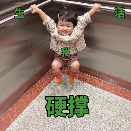 11月18日斗图表情包精选合集