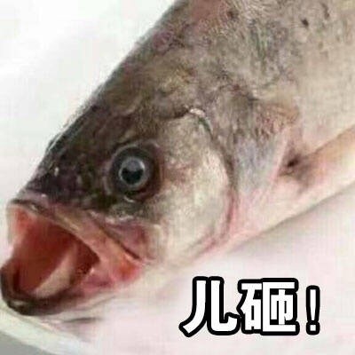 快艾特你的“儿砸”来用这套表情包