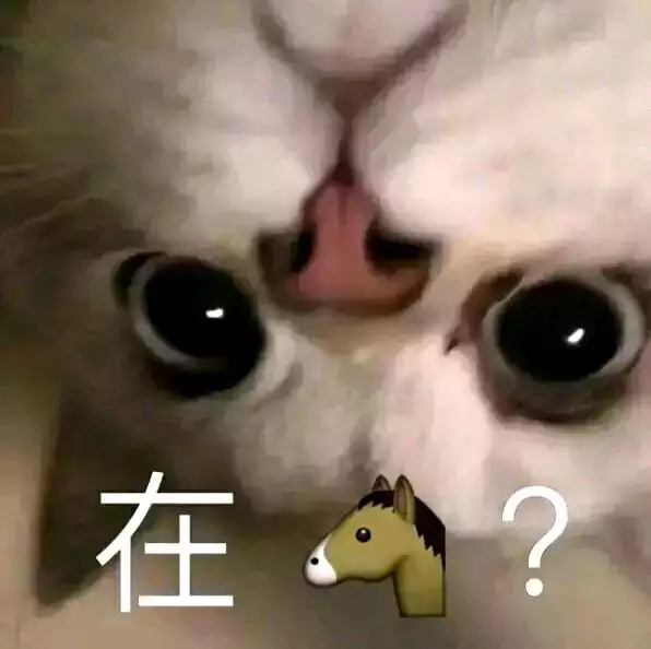 11月30日斗图表情包合集来啦