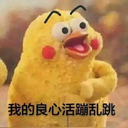 这套鹦鹉兄弟表情包火了！“你的良心不会痛吗”怼人斗图超好用