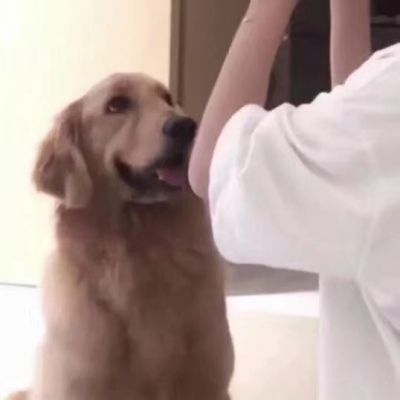 流行的真人一左一右情头网图合集来了，共18张高清图