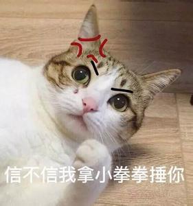 火出圈的“小拳拳捶你”表情包都在这了