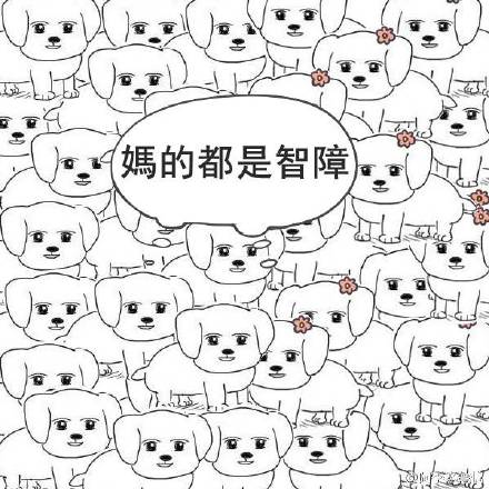 狗狗骂人表情包合集 斗图用得上
