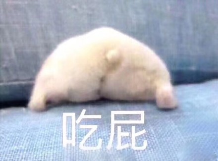 12月1日热门斗图表情包合集