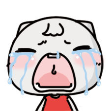 超可爱小猫咪表情包，女生聊天超适配