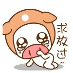 帽帽猪“滚粗”表情包来啦！