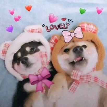 搞怪又可爱！16组沙雕情侣头像来啦