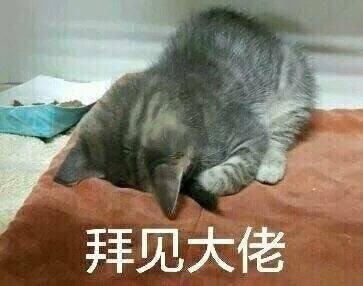 9月9日斗图表情包精选合集