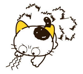 超全猫猫兔子萌萌哒动图表情包合集