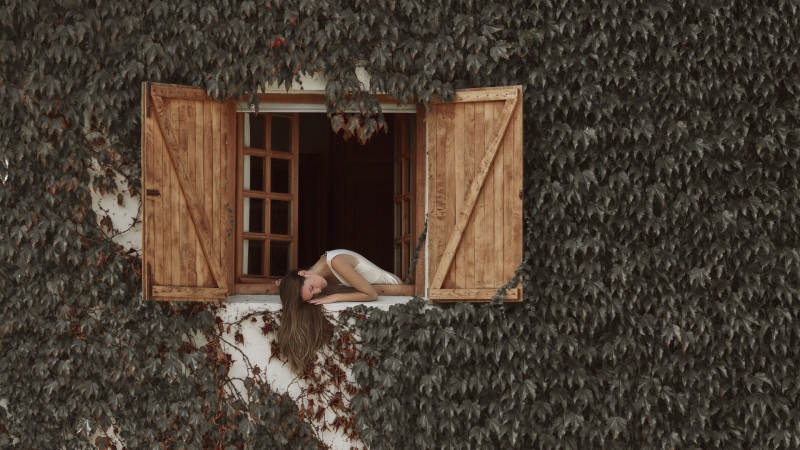 带百叶窗和树叶的少女氛围感电脑壁纸合集