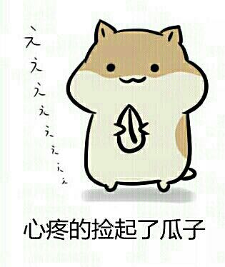 盘点超火的仓鼠配瓜子表情包