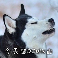 撸狗狂喜！这套汪星人表情包直接封神