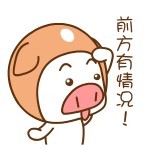 超萌帽帽猪表情包合集来啦