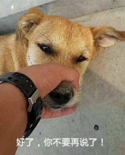 好了你别再说了！这套表情包火出圈了