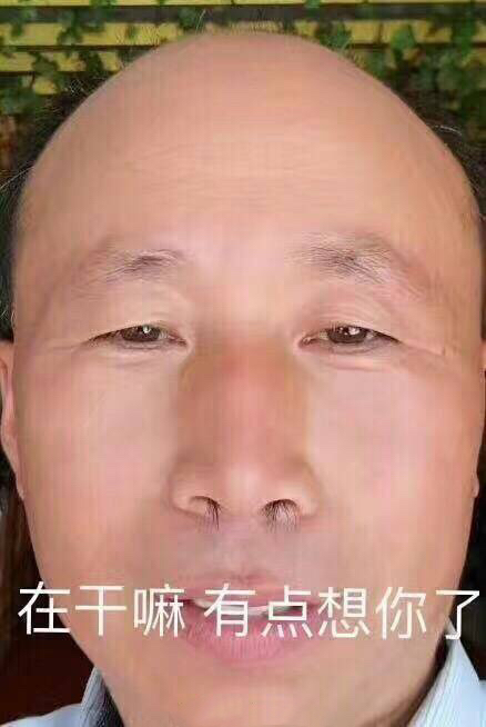 10月5日热门斗图表情包合集