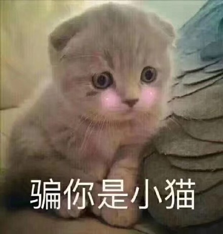 8月31日热门斗图表情包合集