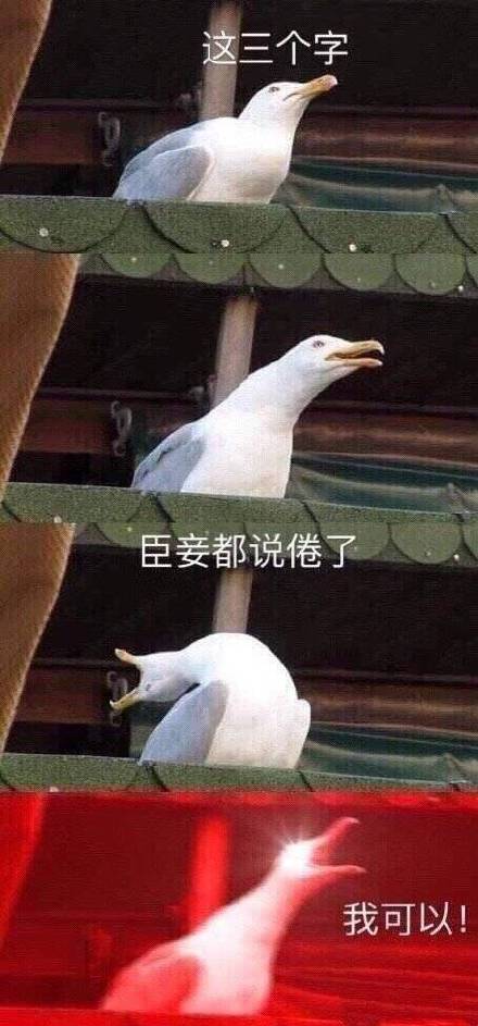 11月30日斗图表情包合集来啦