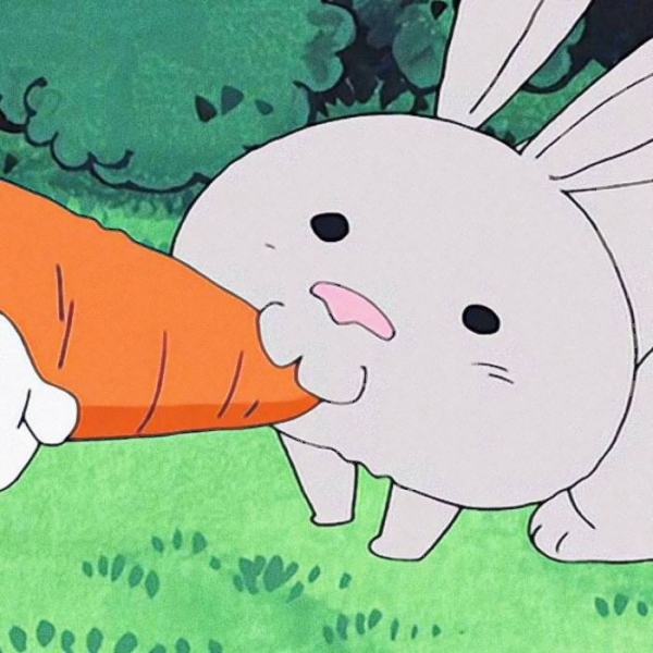 超可爱！22张超清蜡笔小新情侣头像 适合抖音用的一对头像