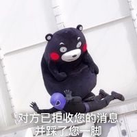 聊天被拒收消息？这套熊本熊表情包太扎心了