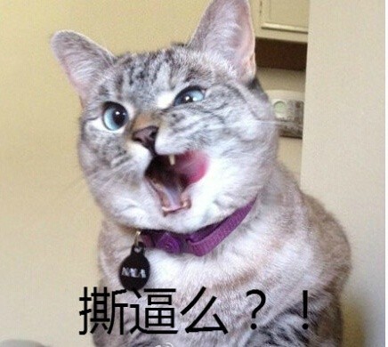萌宠版“hi小婊砸”表情包合集 斗图党速存