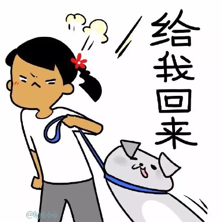 聊天斗图必备！制冷少女表情包合集来啦