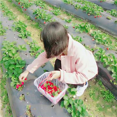 最新款！个性又搞怪的情侣头像合集（共12张）