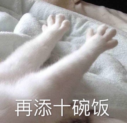 当下超火的无水印表情包合集