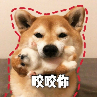 搞怪动物情侣头像来啦！带字创意款共12张高清图