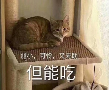 整理好的斗图表情包合集，直接存下来就能用