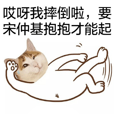 猫头宋仲基可爱表情包合集