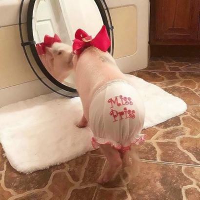 34组可爱风QQ情侣头像 一对两张直接存