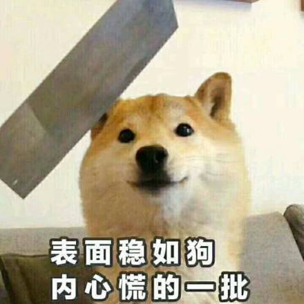 1月13日斗图表情包合集来啦