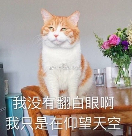 整理一下近期聊天常用的表情包合集