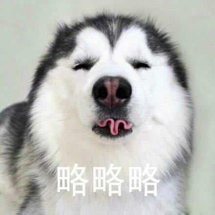 聊天斗图必备！这款略略略表情包系列太好用了
