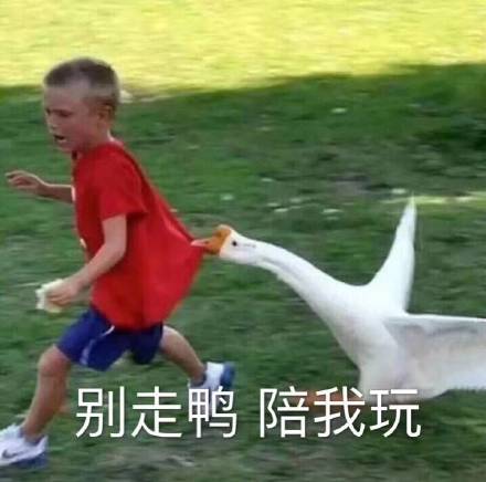 最近超火的表情包原图合集整理好了