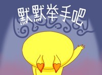 超火美兔子表情包合集来啦