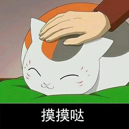 猫咪老师搞笑动图表情包合集