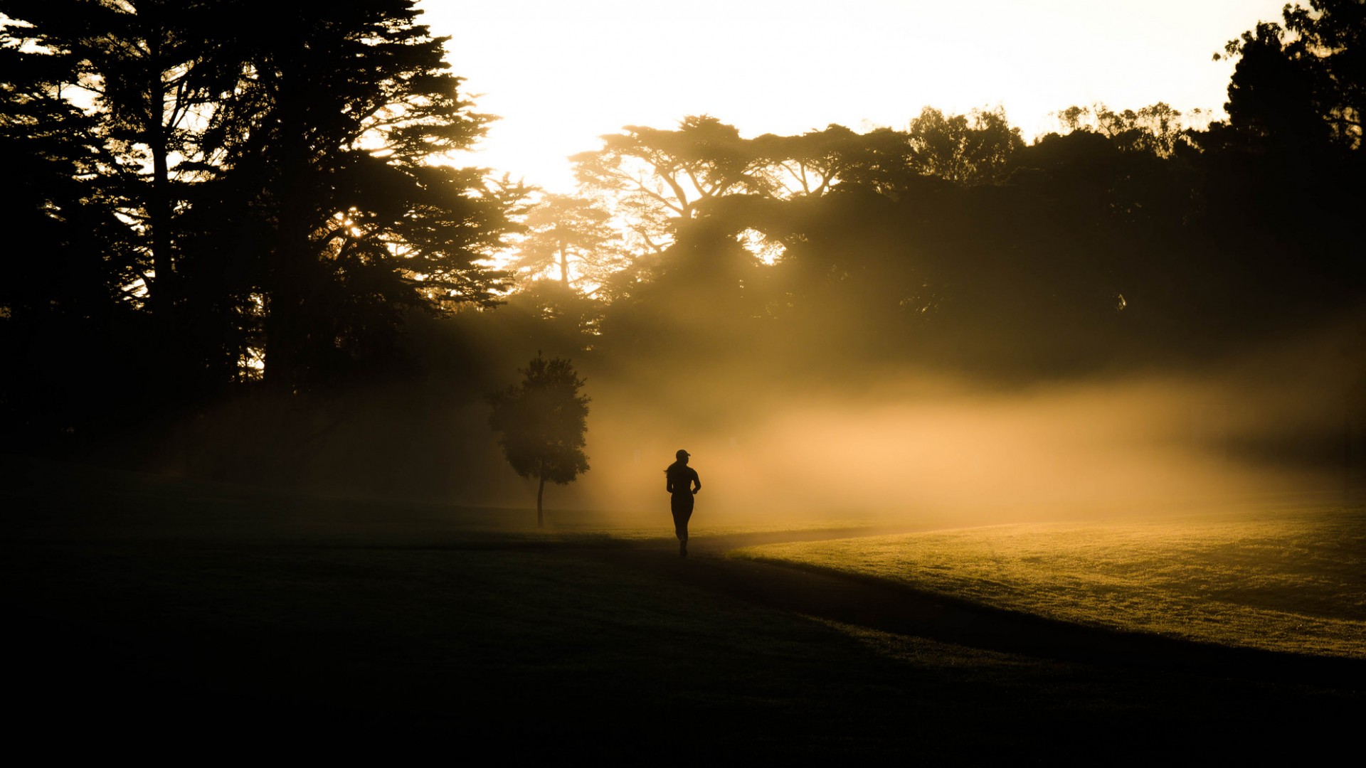 晨雾林间跑步少女 电脑桌面高清动漫壁纸