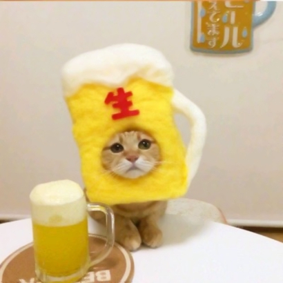 软萌猫咪情侣头像来啦！20张高清可爱的一对两张头像