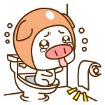 超萌帽帽猪表情包合集来啦