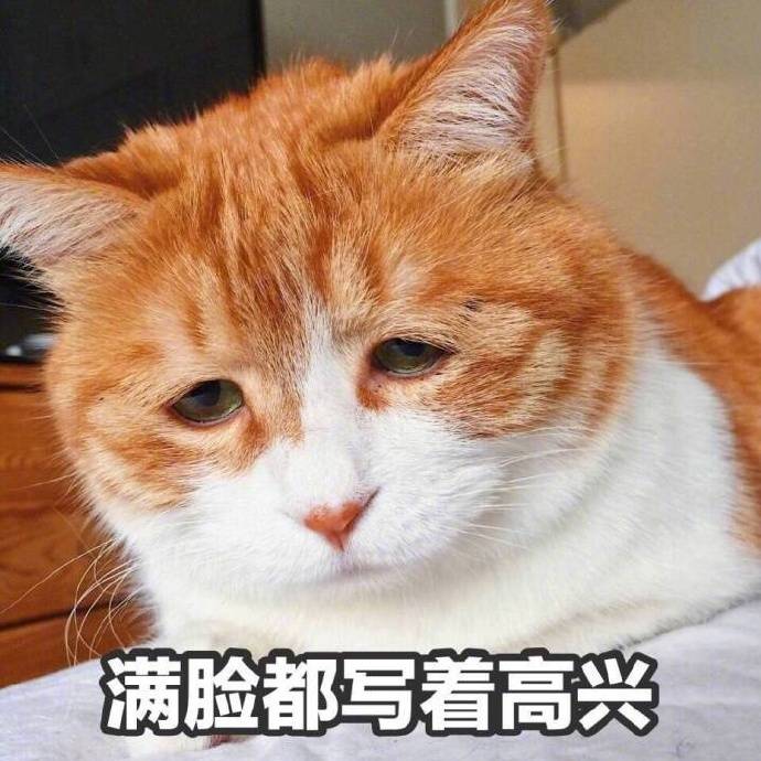 满脸写着高兴的反差感表情包来啦