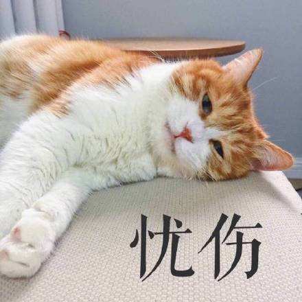 满脸写着高兴的反差感表情包来啦