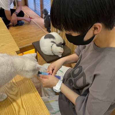 最新10组超好看专属情侣头像 快和对象安排上