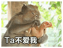 11月22日斗图表情包合集