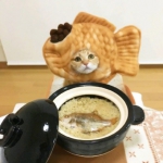 软萌猫咪情侣头像来啦！20张高清可爱的一对两张头像