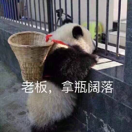 /08/26热门表情包原图合集